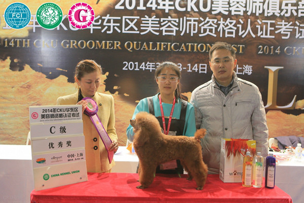 爱尔学员在第14届CKU宠物美容师比赛中再创佳绩