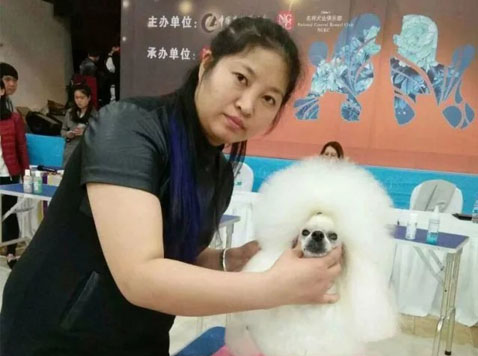 山东青岛爱尔宠物美容学校学员通过NGKC协会A级宠物美容师鉴定