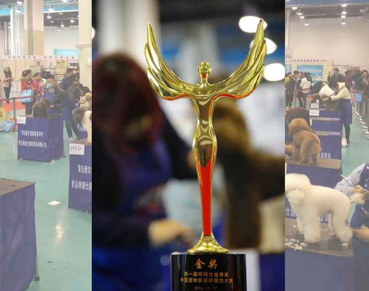 中国宠物美容师竞技大赛参赛指南