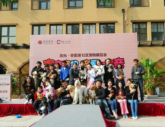 山东青岛爱尔宠物美容学校学生为社区居民讲解宠物美容知识