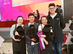 2019年CKU华北区宠物美容资格鉴定大赛，山东青岛爱尔宠物美容学校再获佳绩！